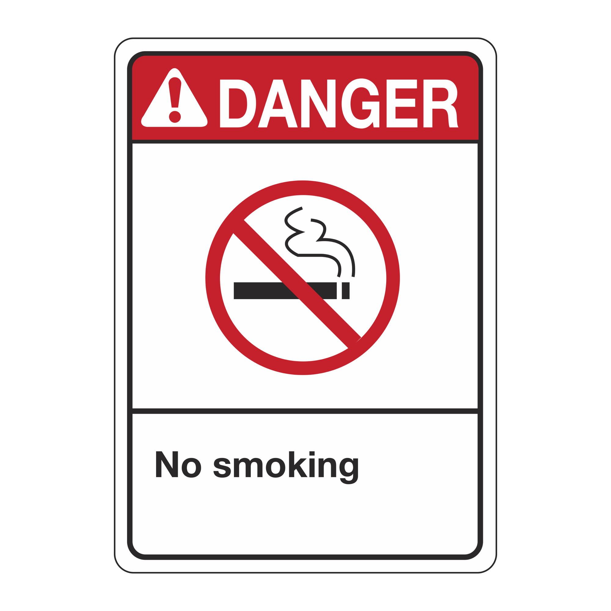 ANSI No Smoking Sign Carlton Industries