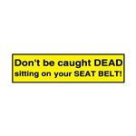 Decal - Don't Be Caught Dead Sitting On Your Seat Belt! 1x4"